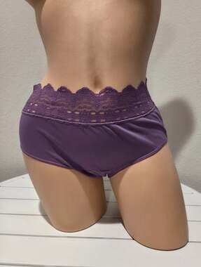 Olga Secret Hug Full Coverage Brief Panty Nylon Silky Purple Sable